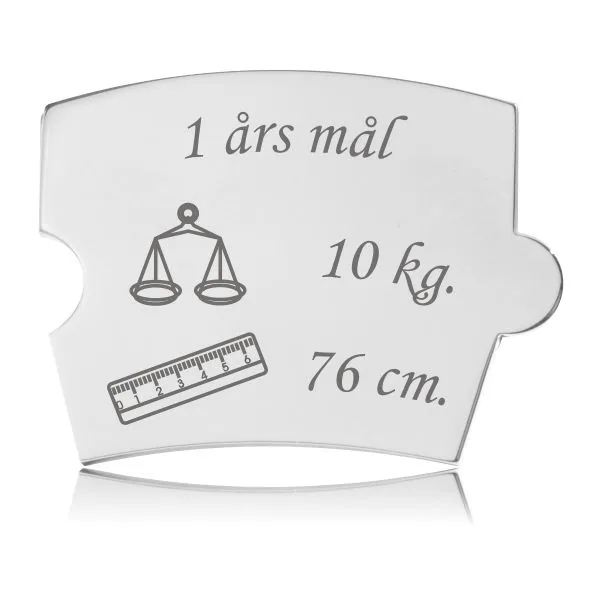 Memozz Spin - 1 års mål brik i rustfrit stål med gravering af vægt og lineal symboler